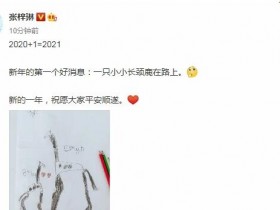 张梓琳宣布怀二胎 晒出一张4岁女儿的简笔画