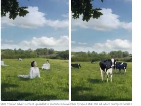 韓牛奶廣告將女性描繪成奶牛惹眾怒